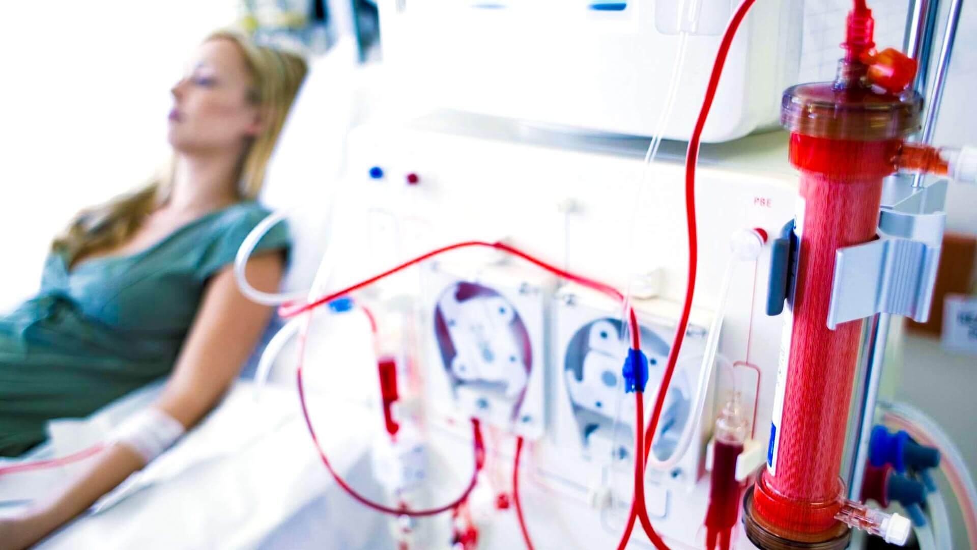 Banner 1