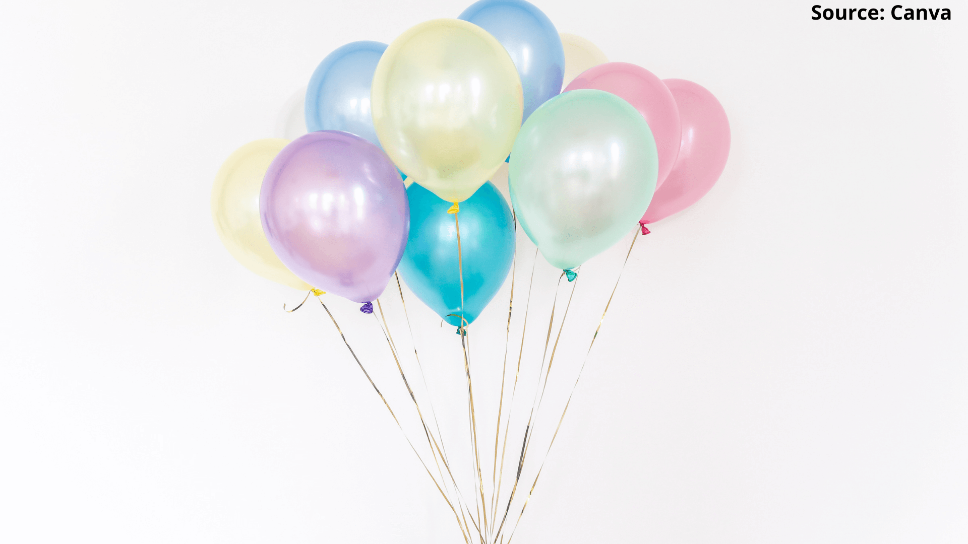 Banner 1