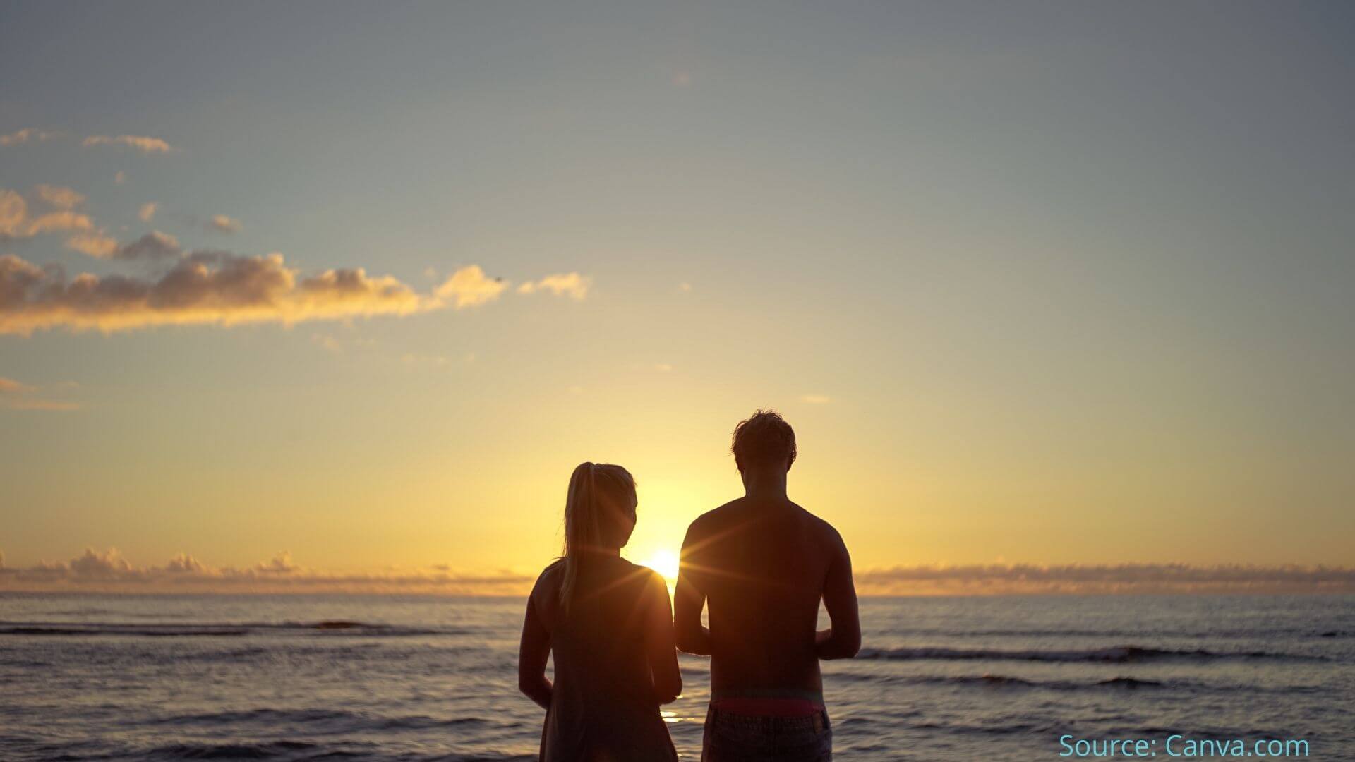 Banner 1