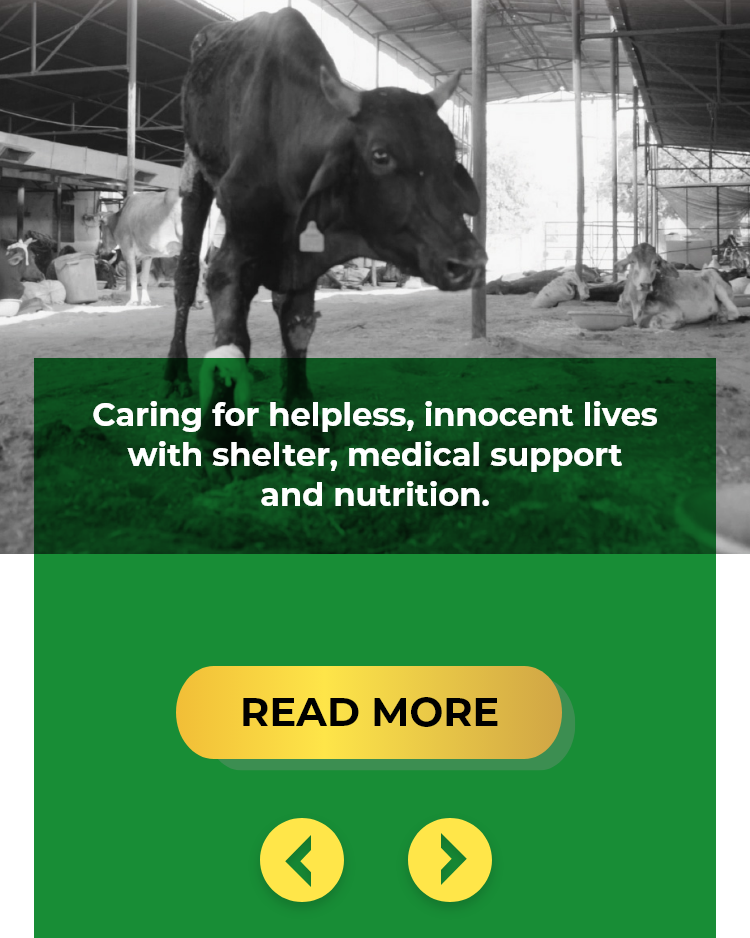 About Impact Guru Foundation