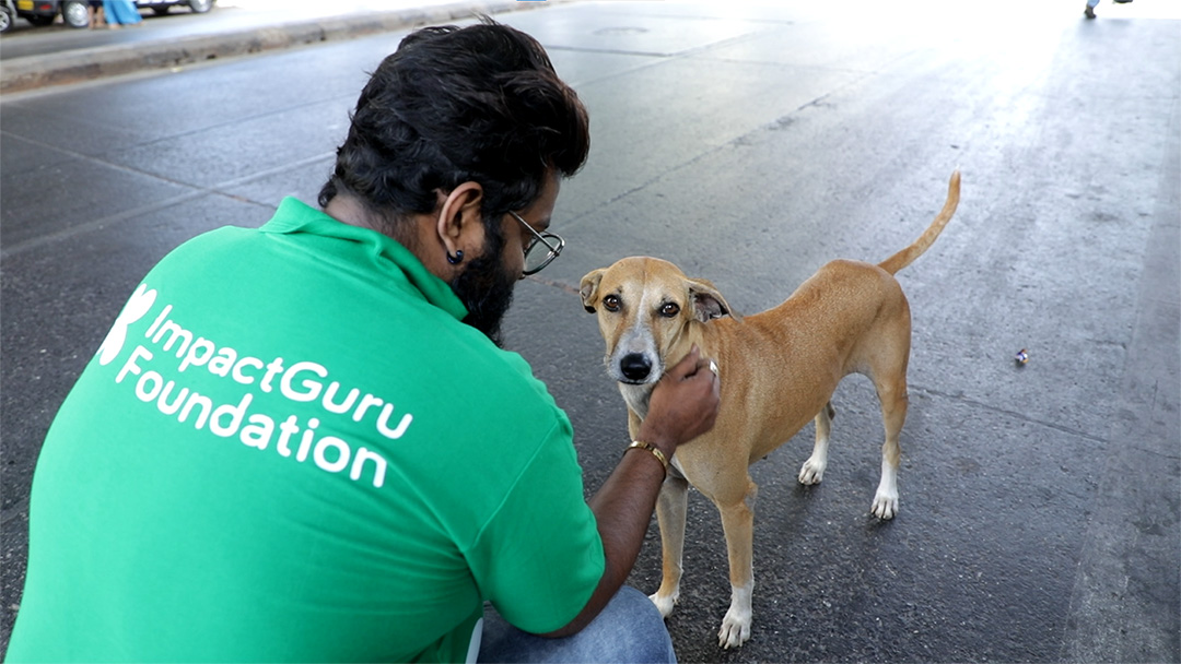 Gallery Impact Guru Foundation