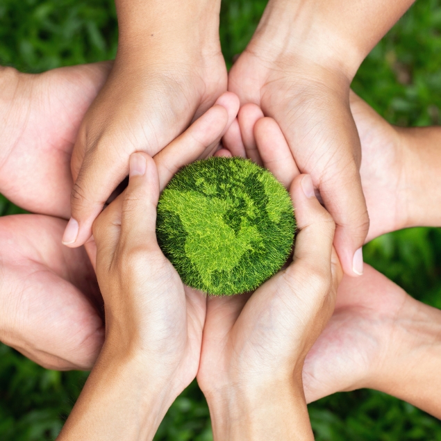 Gallery Impact Guru Foundation